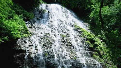 环保高端数字化